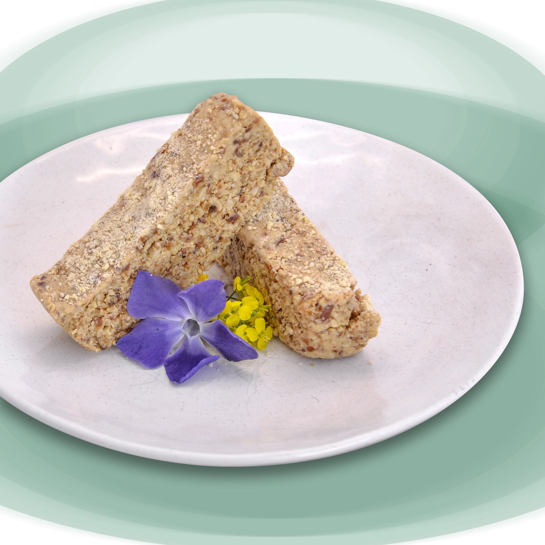 Caramel Protein Bars (6)